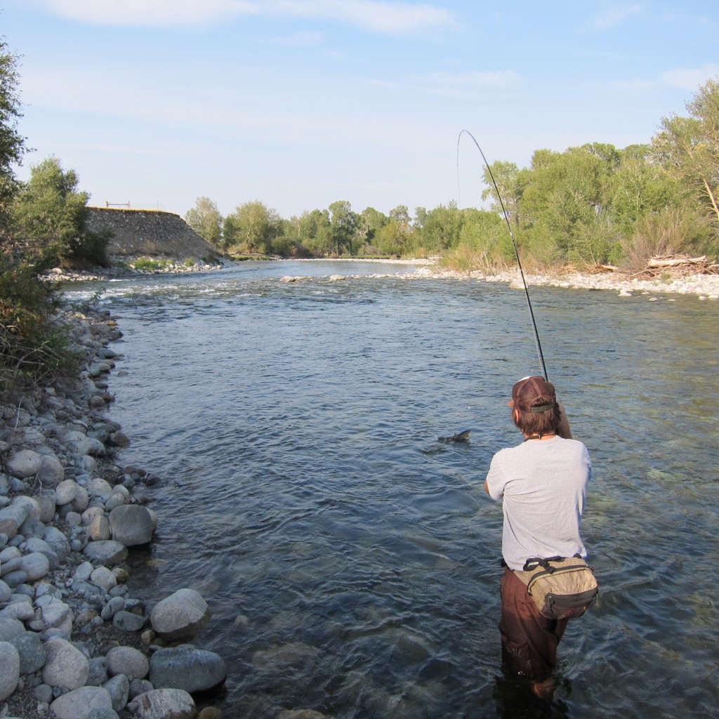 Hansen River Fly OutfittersGuiding Montana's Best Since 1994 » Blog